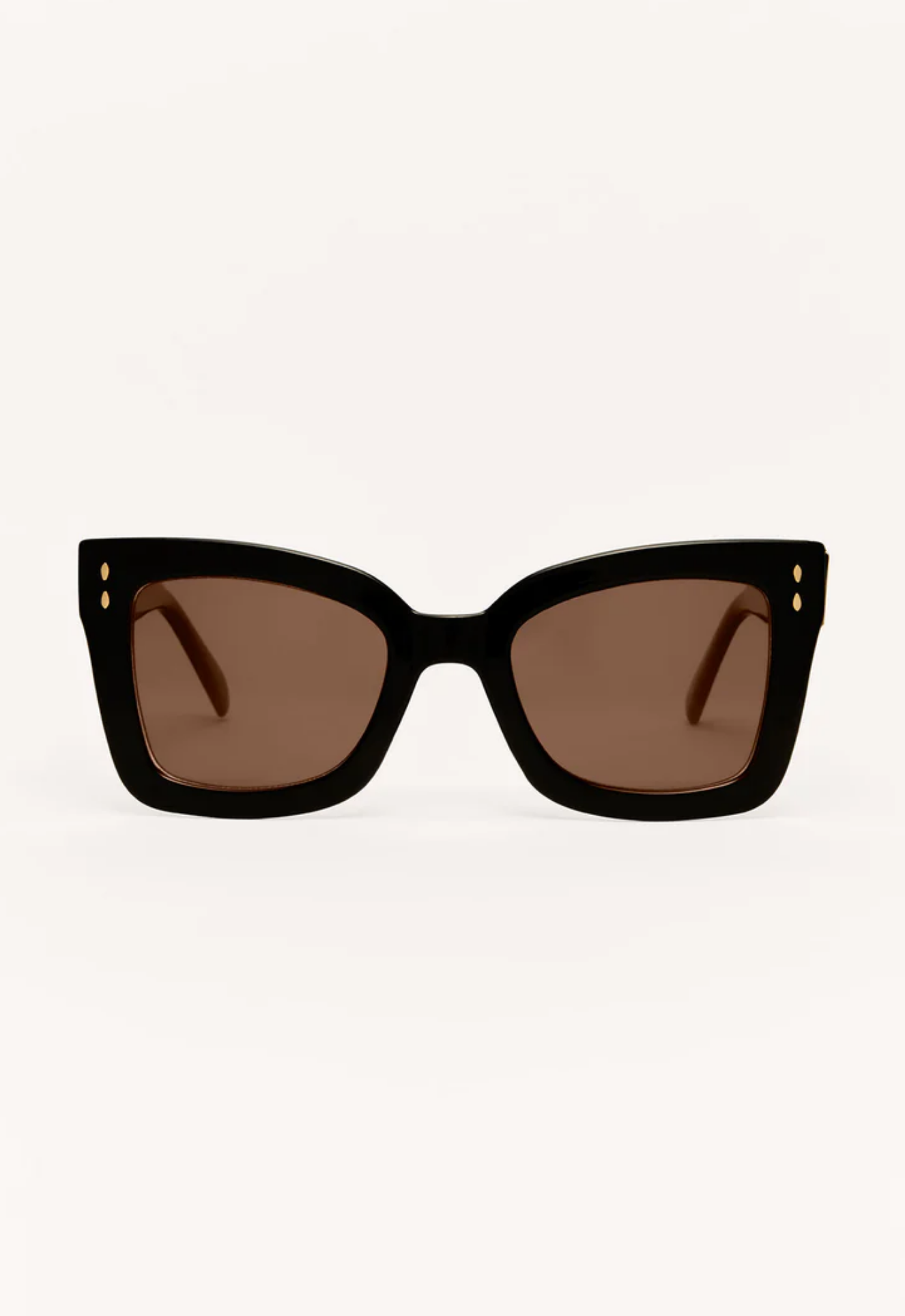 Z Supply Confidential Sunglasses