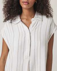 Splendid Wren Stripe