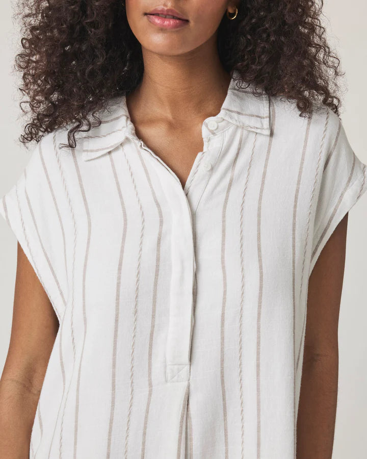 Splendid Wren Stripe