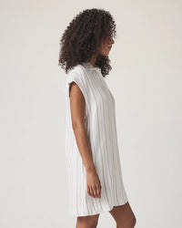 Splendid Wren Stripe