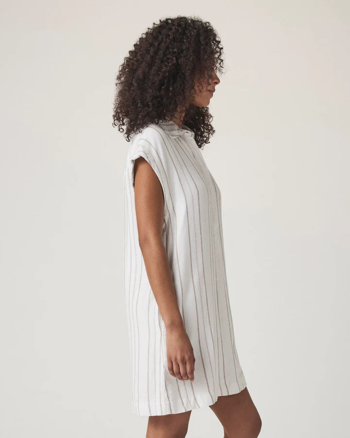 Splendid Wren Stripe