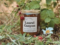 Shy Wolf Candles Laurel Canyon Soy Candle