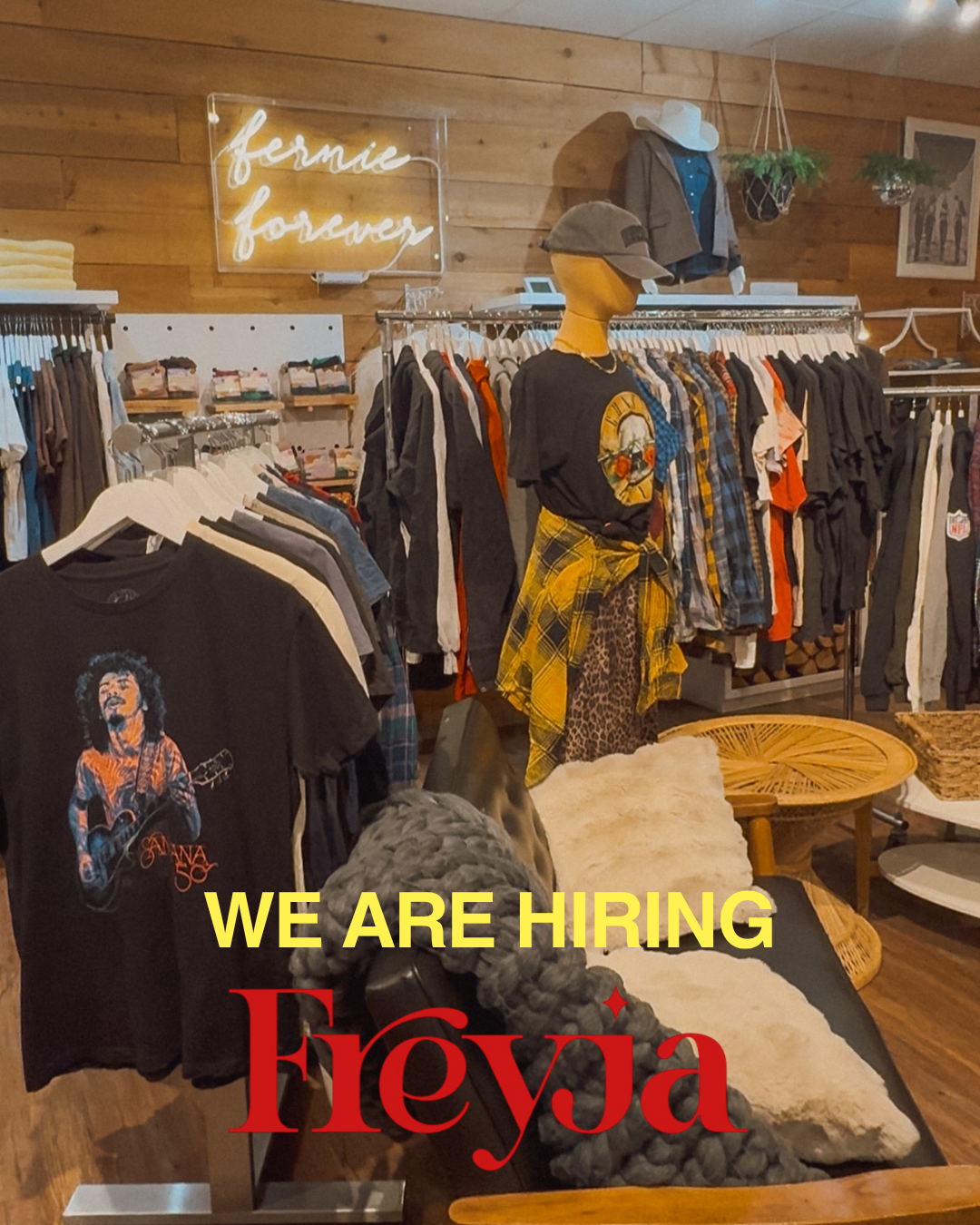 We are Hiring for Fall