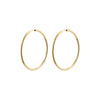 Pilgrim April Medium Hoops Gold or Silver Plated